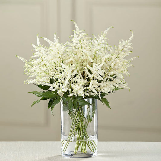 White Astilbe Bouquet – FARFANS FLOWERS & DECORATIONS LLC, Frederick MD