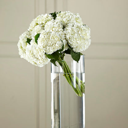 White Hydrangea Hand-Tied Bouquet – FARFANS FLOWERS & DECORATIONS LLC, Frederick MD