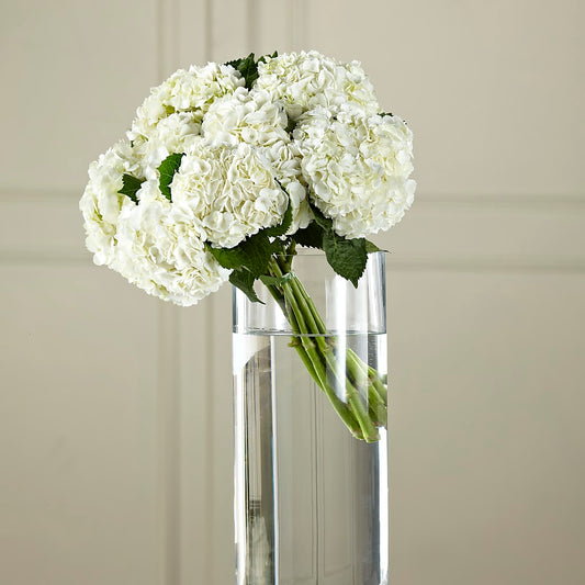 White Hydrangea Hand-Tied Bouquet – FARFANS FLOWERS & DECORATIONS LLC, Frederick MD