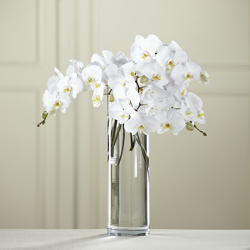 White Phalaenopsis Bouquet – FARFANS FLOWERS & DECORATIONS LLC, Frederick MD