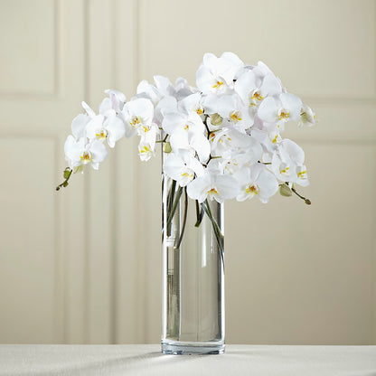 White Phalaenopsis Bouquet – FARFANS FLOWERS & DECORATIONS LLC, Frederick MD