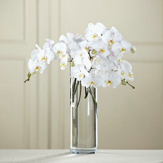 White Phalaenopsis Bouquet – FARFANS FLOWERS & DECORATIONS LLC, Frederick MD