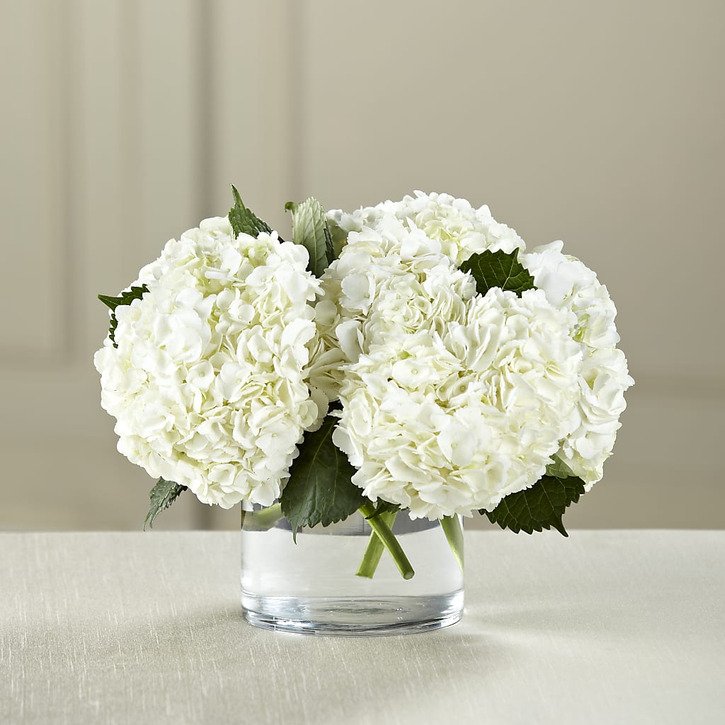 White Hydrangea Bouquet – FARFANS FLOWERS & DECORATIONS LLC, Frederick MD