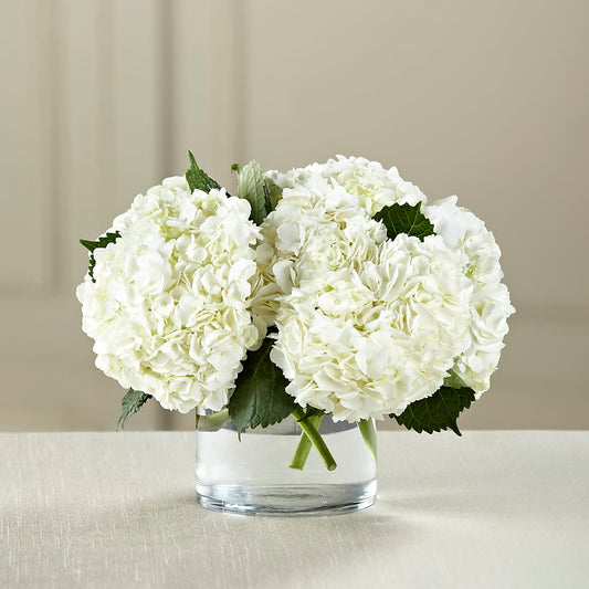White Hydrangea Bouquet – FARFANS FLOWERS & DECORATIONS LLC, Frederick MD