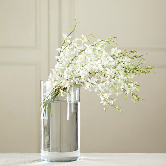 White Dendrobium Bouquet – FARFANS FLOWERS & DECORATIONS LLC, Frederick MD